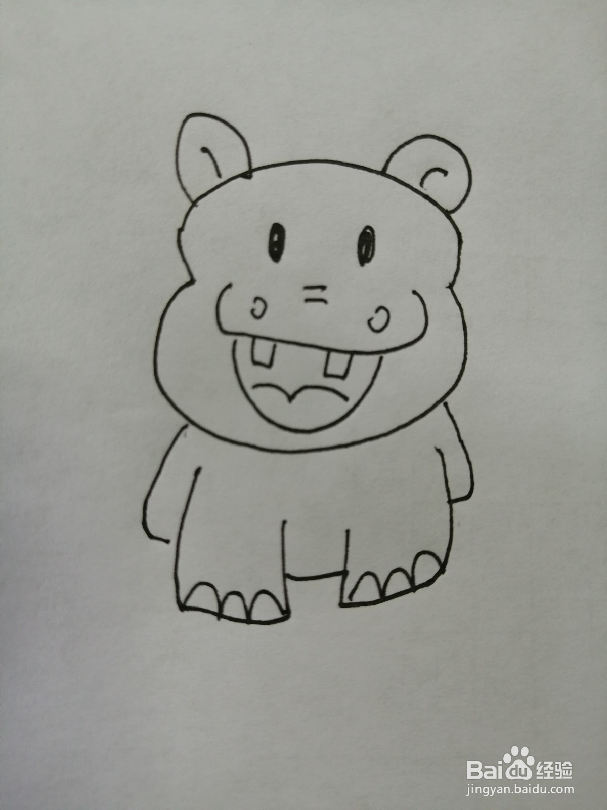 可爱的小河马怎么画