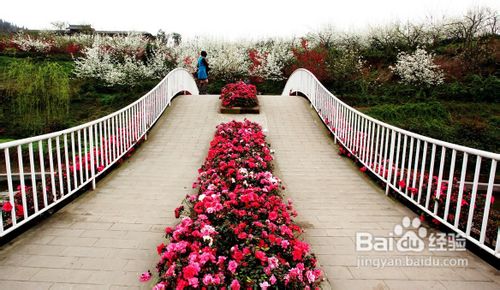 花舞人间旅游攻略