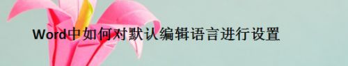 Word中如何对默认编辑语言进行设置