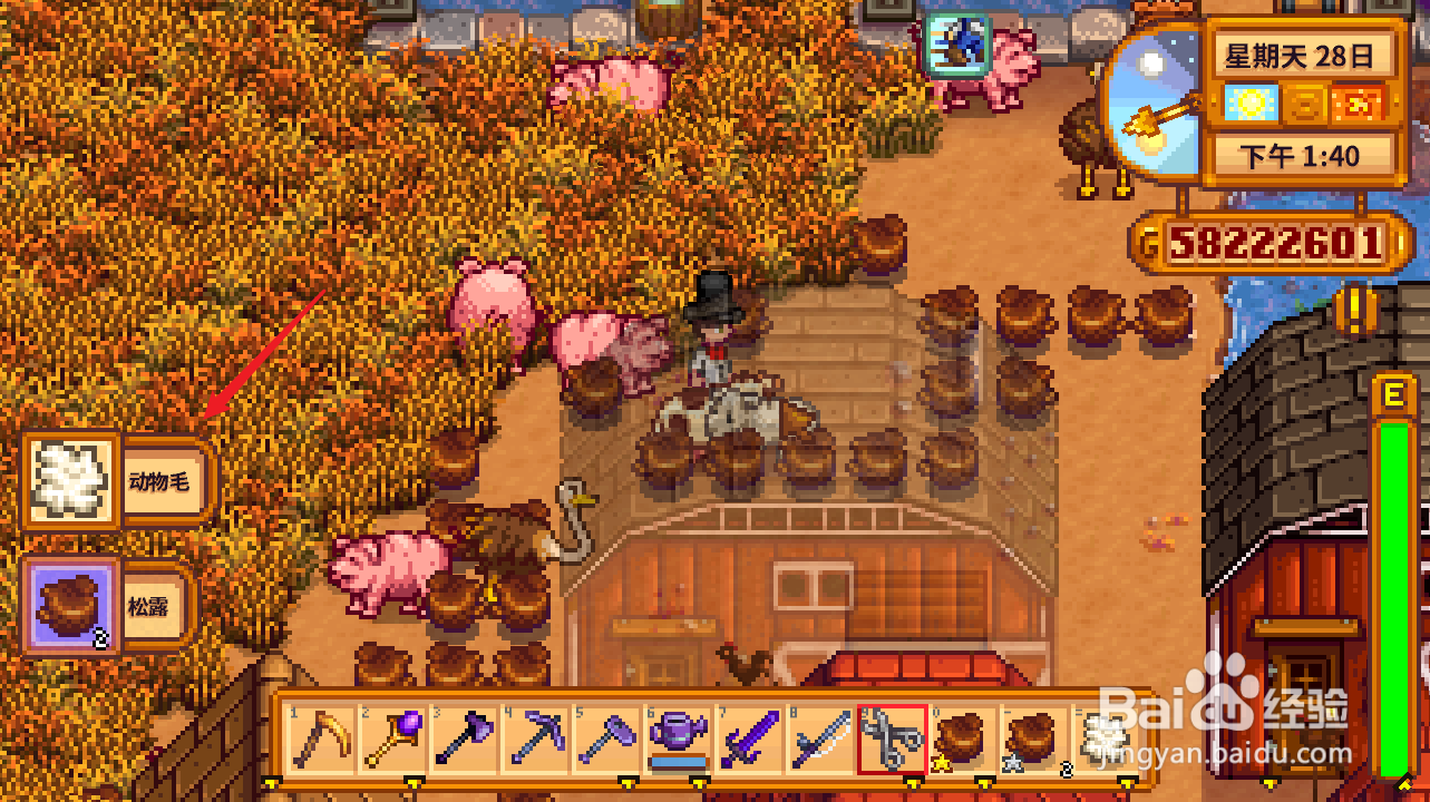 星露谷物语动物毛怎么获得