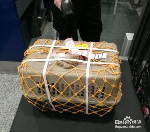 高铁行李超重了怎么办