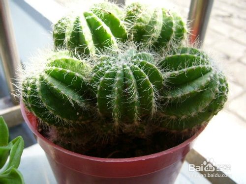 如何装饰大学宿舍