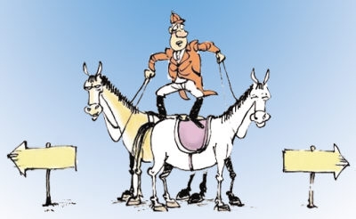 你为什么会被骗