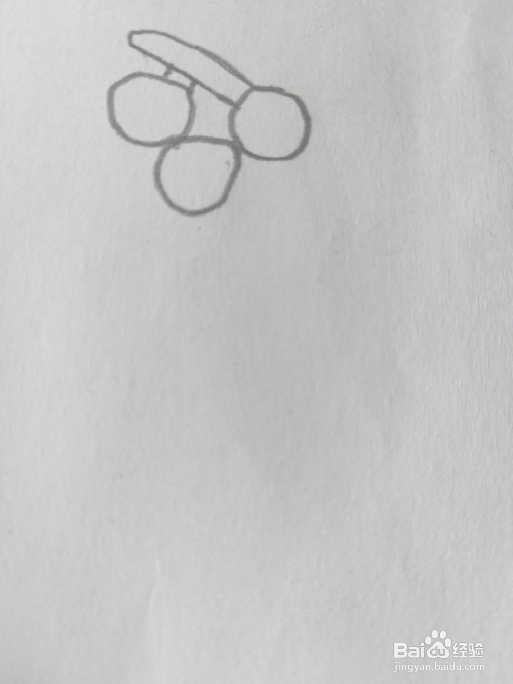 教你画儿童简笔画山楂