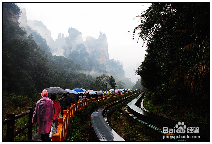 张家界旅游多少钱