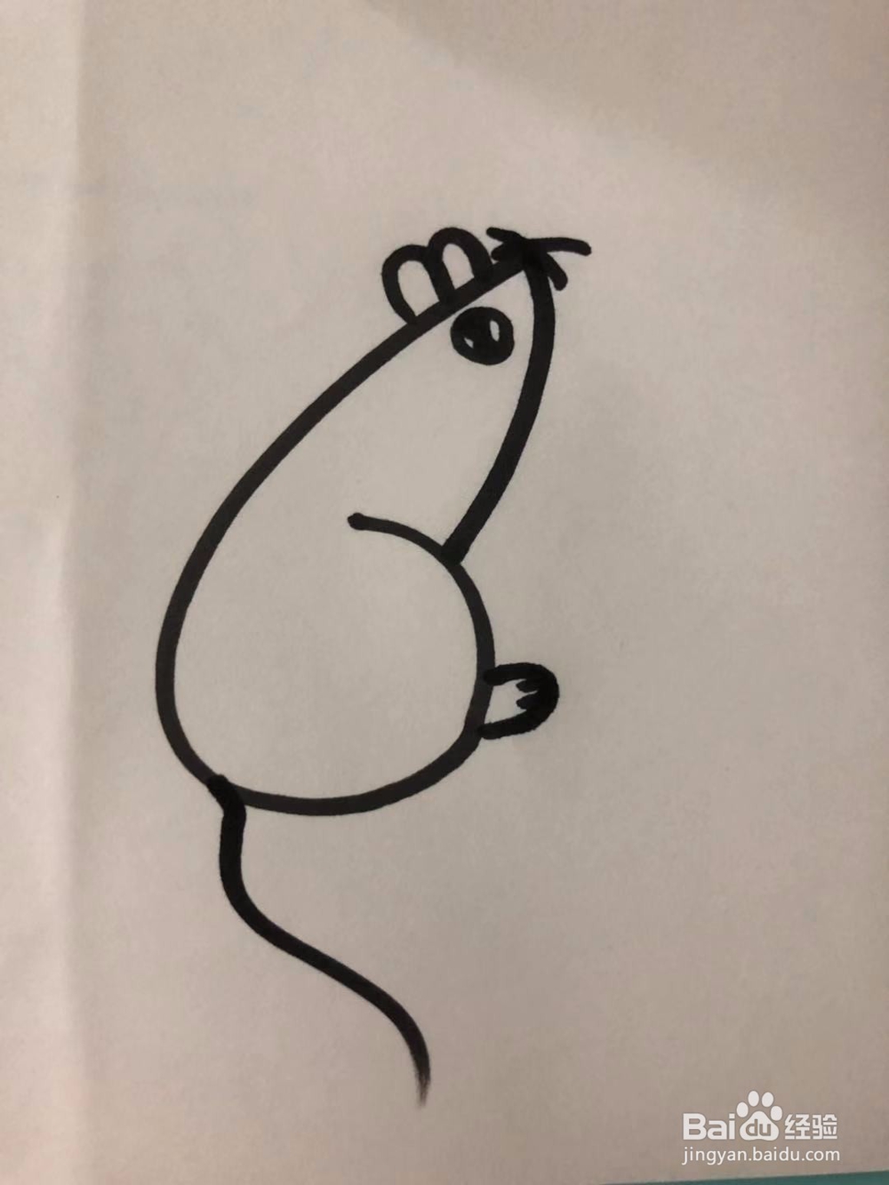 怎么画老鼠简单;老鼠简笔画怎么画