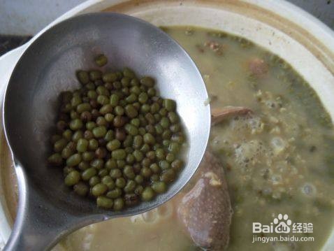 鸽子绿豆汤的做法与功效