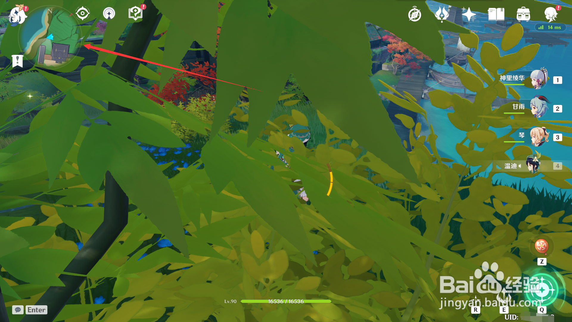 原神轻策农家菜食谱怎么获得