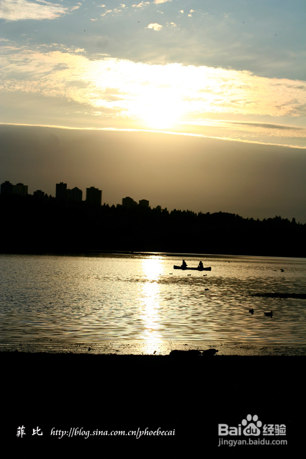 温哥华鹿湖Deer Lake 黄昏漫步(组图)