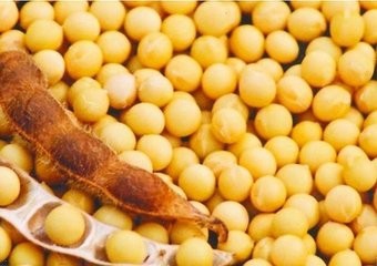 爱美更需好饮食 不同的食物对于身体的影响