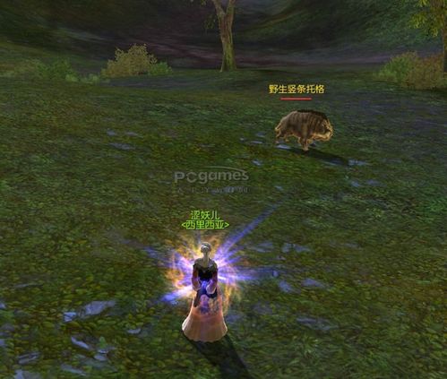 怎样完成《永恒之塔》秘密交易任务