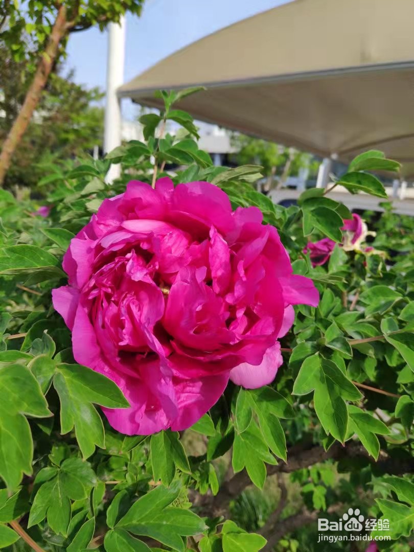 如何获得女生的好感