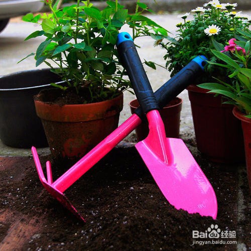 种花，土壤有哪些考究？