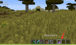 我的世界僵尸村民如何变成村民