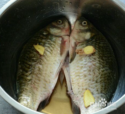 如何做清蒸鲤鱼