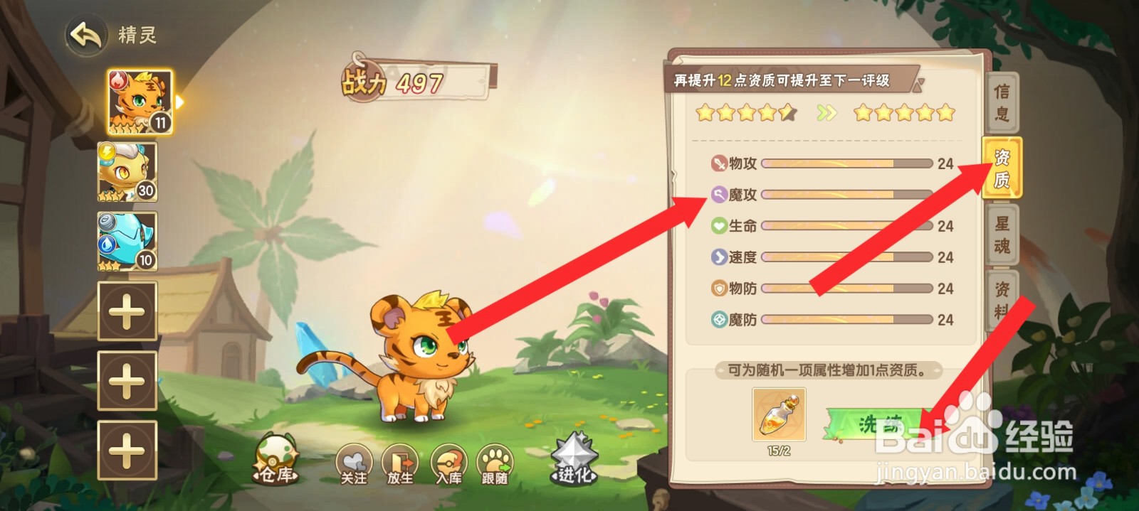 西普大陆如何使用灵源洗练乖乖虎