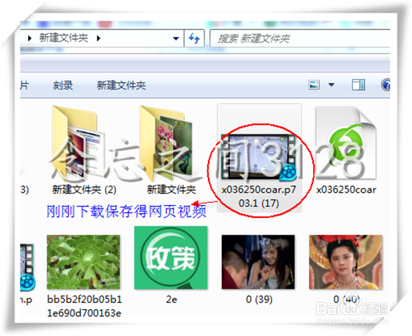 如何简便快捷的下载网页视频