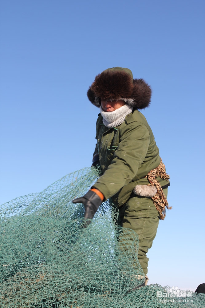 【内蒙古】达里湖冬捕节旅游攻略