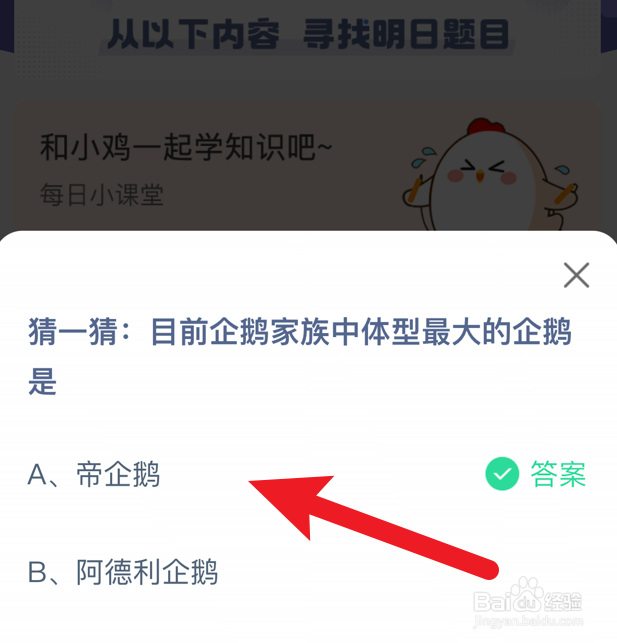 目前企鹅家族中体型最大的企鹅是？蚂蚁庄园