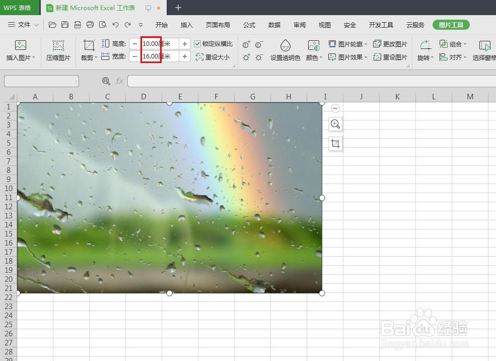 wps表怎么加入照片
