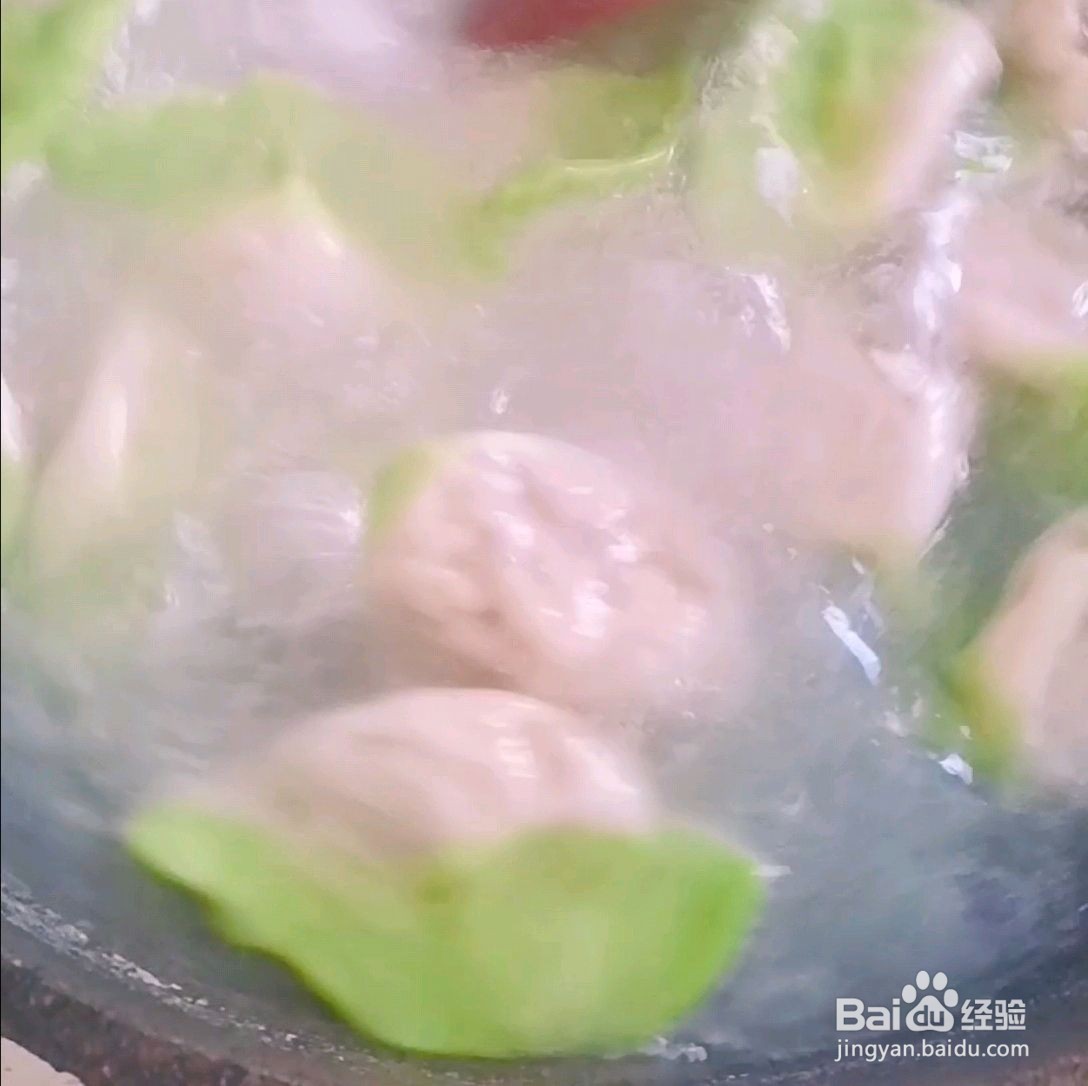 白菜翡翠饺子的做法