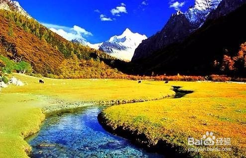 国庆节旅游攻略之—四川景点限流通知,你必知道