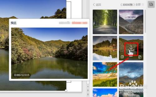WPS PPT如何插入网络图片