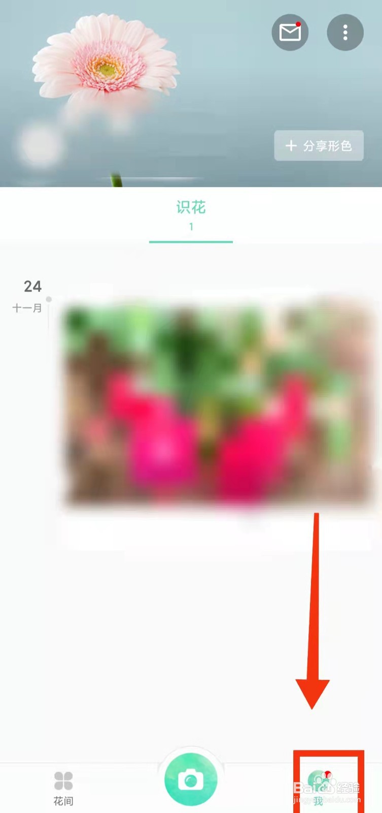 怎样查看在形色收藏的“植物”