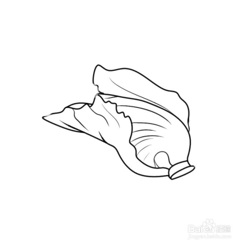 简笔画q版芥菜的画法