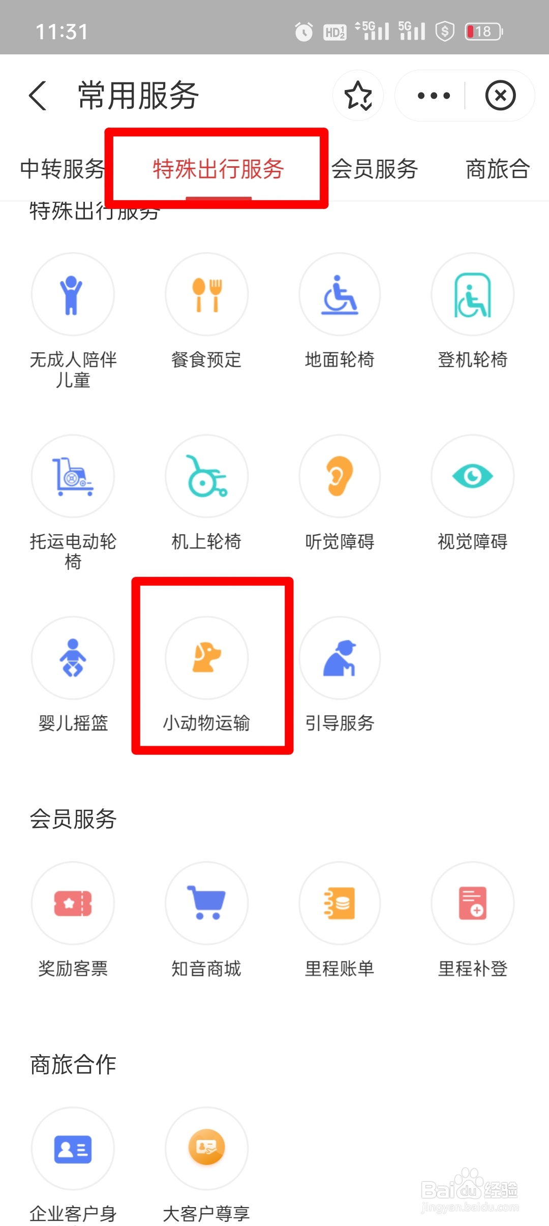狗狗托运飞机托运怎样办理手续
