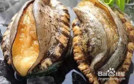 鲍鱼和海参营养功效与作用