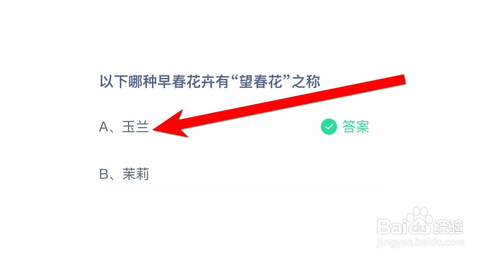 以下哪种早春花卉有望春花之称?蚂蚁庄园答案