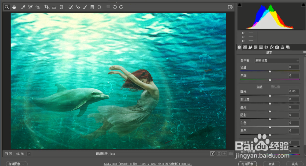 新版photoshop免费下载安装及CameraRaw插件设置