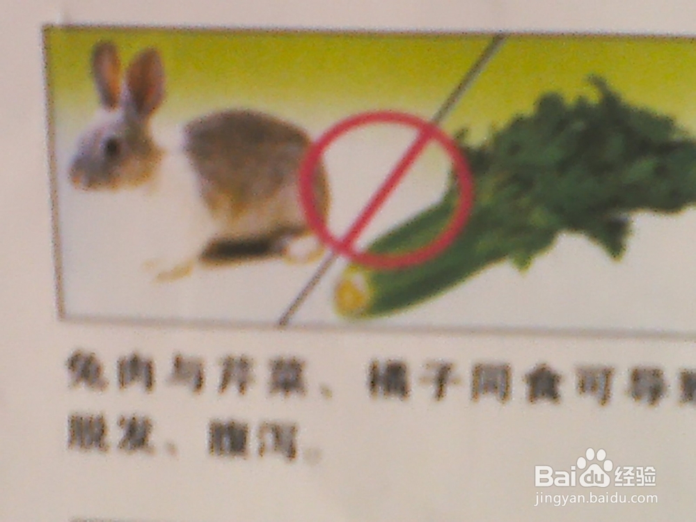 食物相克——合理饮食预防疾病：[2]
