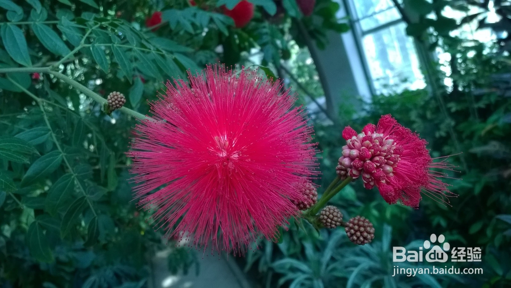 女孩微信朋友圈自拍怎么评论