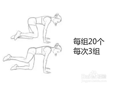 7天详细健身减肥计划