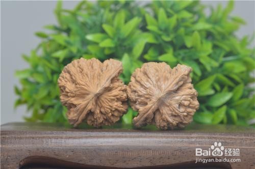 磨盘和白狮子怎么区分