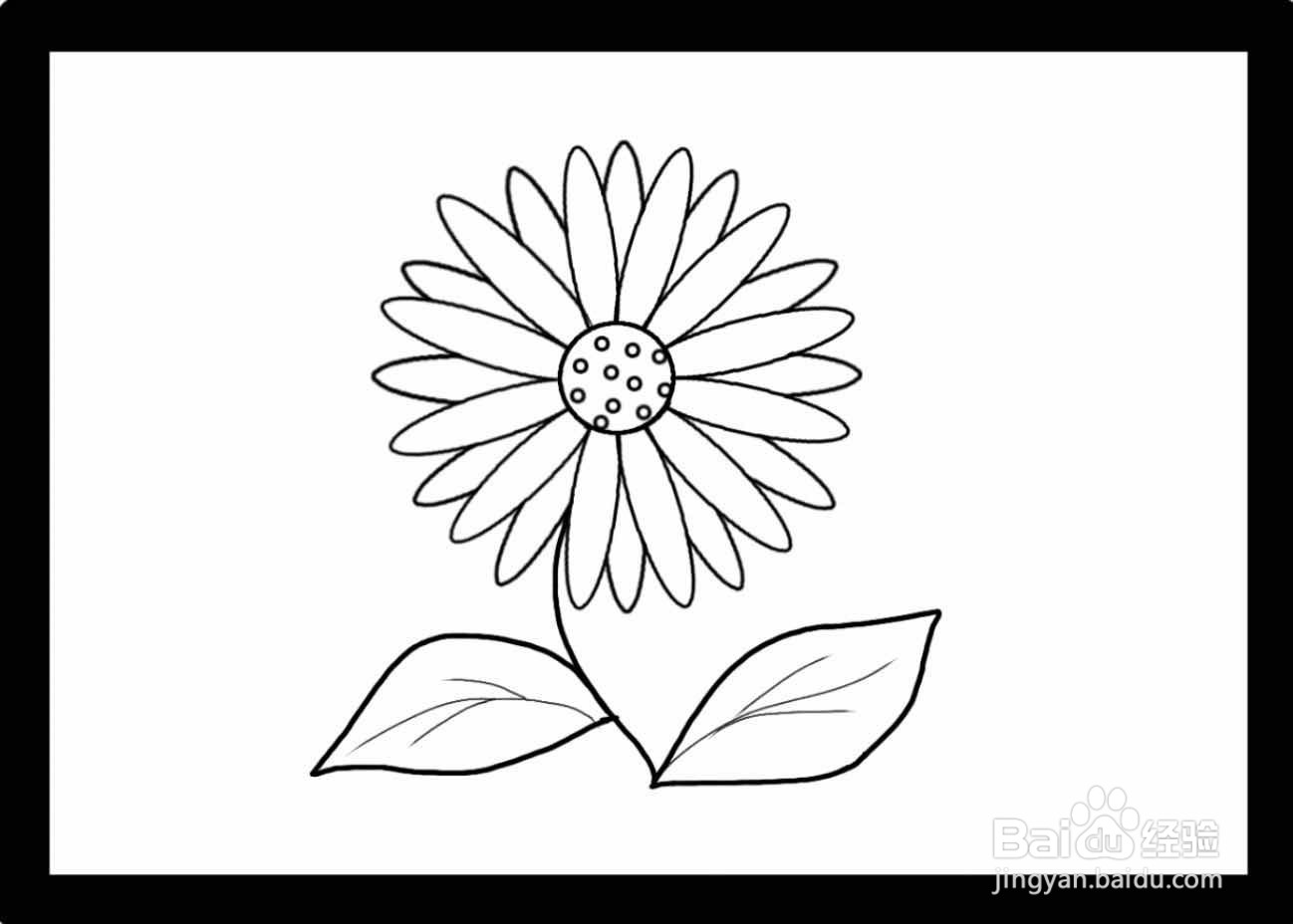 花朵简笔画（彩色）