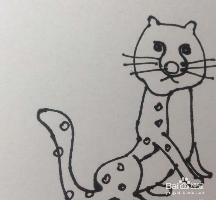 如何画豹子的儿童画?