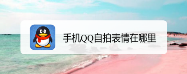 手机QQ自拍表情在哪里