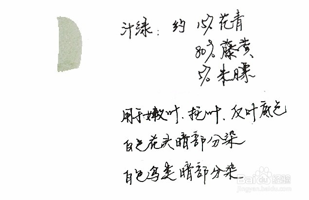 成人学国画第一步——调色笔记