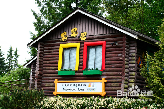 温哥华幼儿园活动：枫树农场行