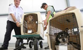 坐飞机的注意事项