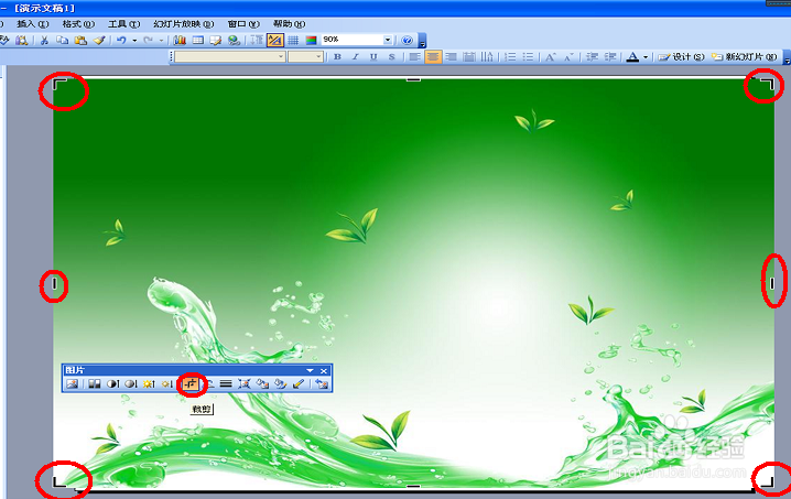 ppt中如何截取图片？