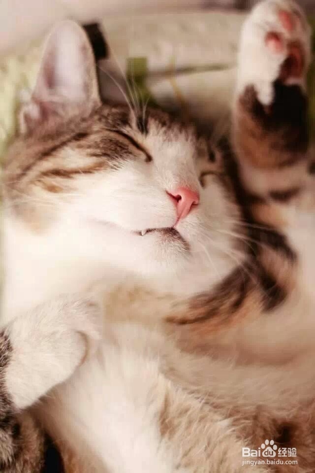 如何和心仪的人相处：[2]男森篇