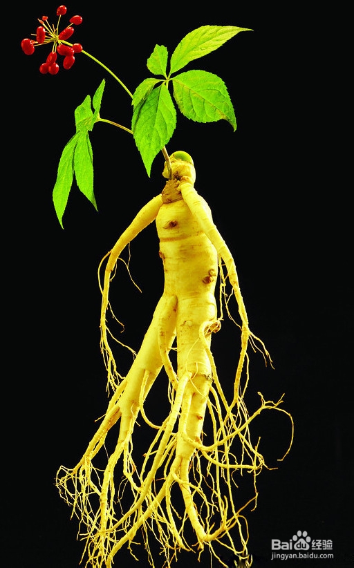 孕妇吃什么好呢，孕早期营养知识，有必要了解