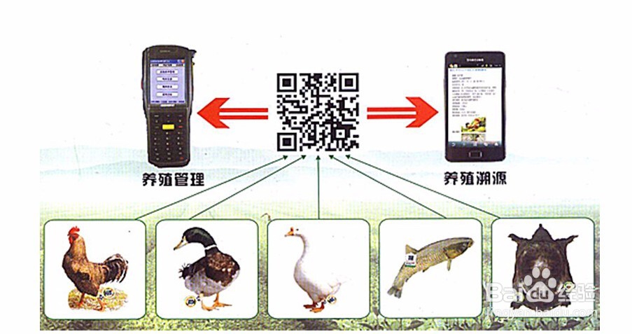 二维码质量追溯系统是如何实现全程追溯的