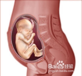 准妈妈应注意防止哪些环境伤害