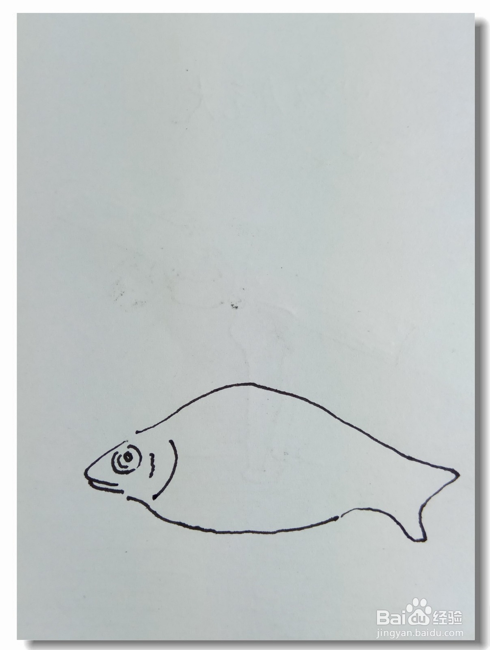 怎样画钢笔画“鲫鱼