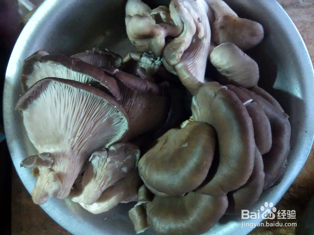 平菇炒香肠白菜